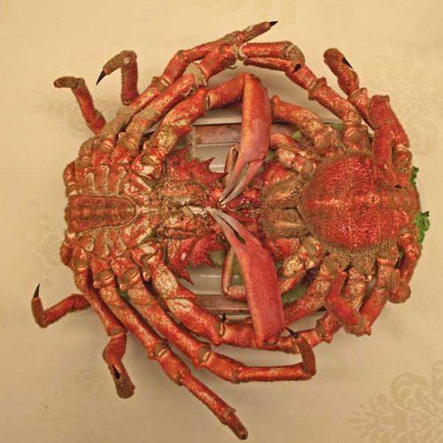 mariscos Restaurante Sexto II